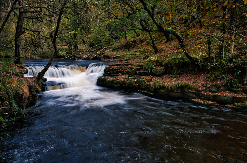 DSC_4661_01.JPG