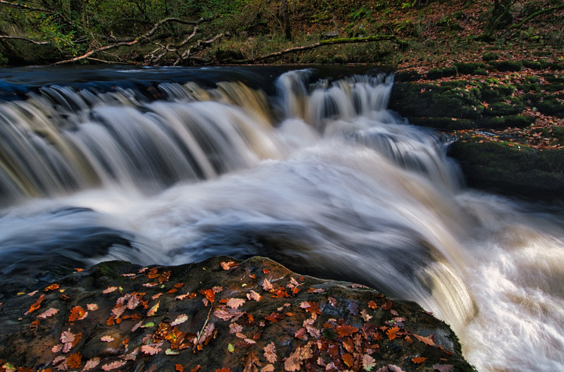 Autumn on the Afon Nedd Fechan.