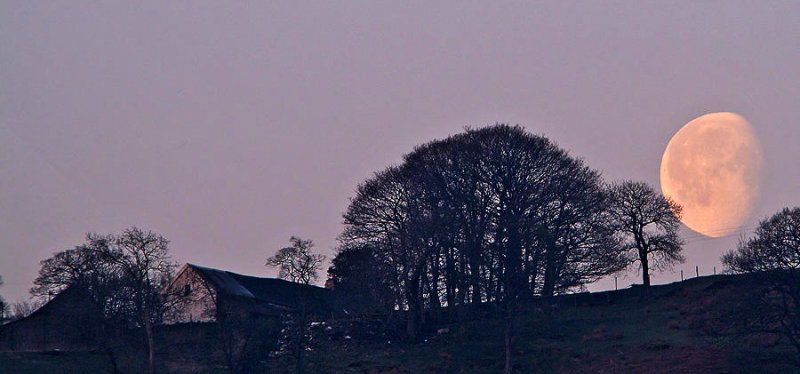 Moon before sunrise