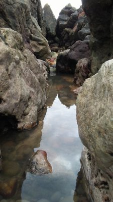 Gower Coast Rockpool
