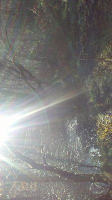 20201126_124720.jpg