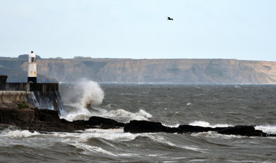 The towering cliffs of Traeth Mawr in the distance.