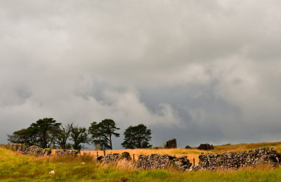 The remains of Blaen Llia farm.
