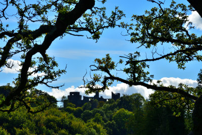 Castle through the trees.