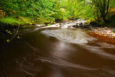 DSC_1437.JPG
