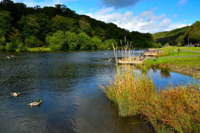 A year in the life of Taf Bargoed Country Park.