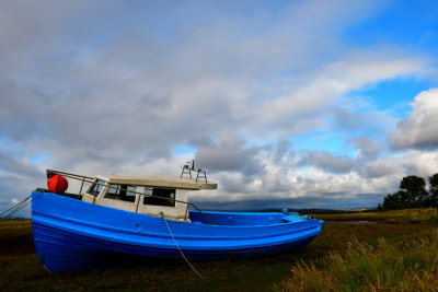 High and dry at Penclawdd.