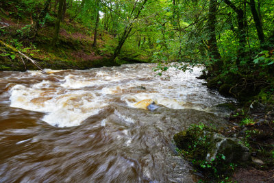 Looking down stream.