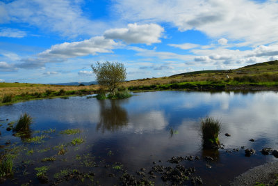 Gelligaer Common.