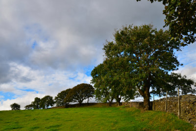 Field boundary above Bedlinog.