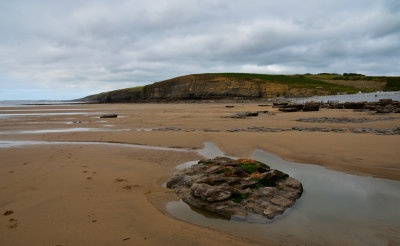 DSC_1917_01.JPG