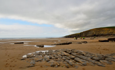 DSC_1947.JPG
