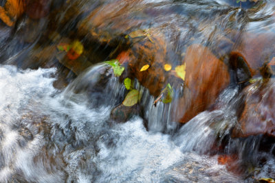 River Dare below the leat. Autumn.