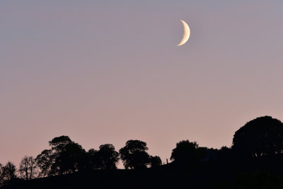 Crescent moon at dusk over Penrhiwcaradoc.