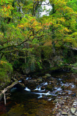 Upstream from the bridge.