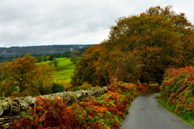 Road to Gelli Wrgan on a wet Autumn afternoon.