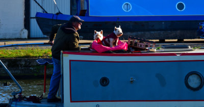 Important passengers. Kennet and Avon Canal.