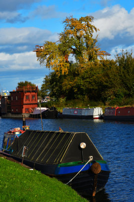 The tree, the crane and the barge.