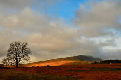 Autumn at Penwyllt.