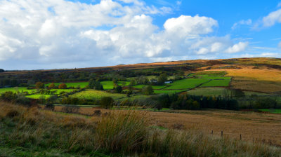 Farms running alongside the Afon Hepste.