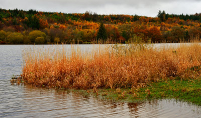 Llwyn-Onn reservoir.