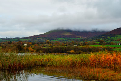Llangorse Lake, southern shore.
