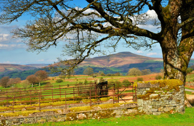 Framing the Sugar Loaf.