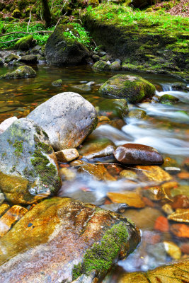 River bed.