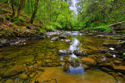 Tranquility.