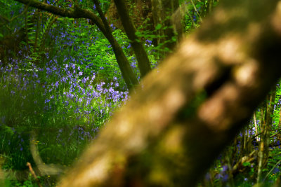 A glimpse of colour and a shaft of light.