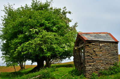 Old outbuilding at Blaenllwynau near Bedlinog.