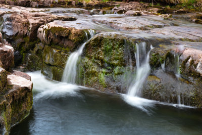 DSC_9599.JPG