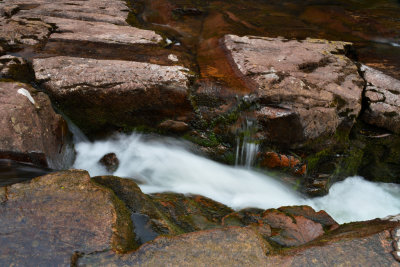 DSC_9601.JPG