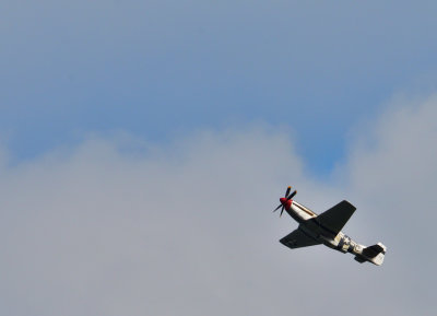 DSC_1449.JPG