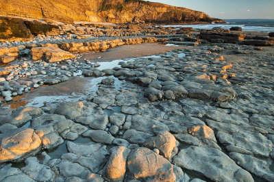 Blue Lias Limestone at sunset.