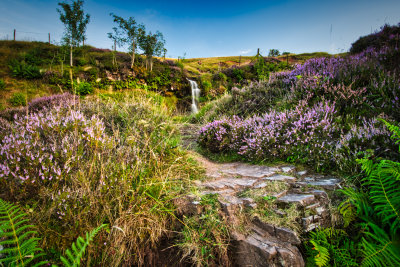 Path to the falls.