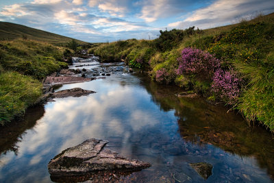 Upper reaches of the Afon Llia.