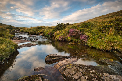Afon Llia, evening.