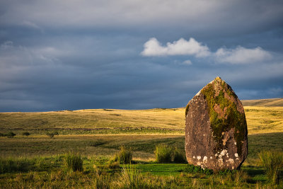 Maen Llia, August 2022.