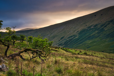 Yr Allt appears through the evening mist.