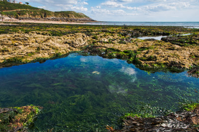 Rock pools and low tide at Langland Bay, Gower.