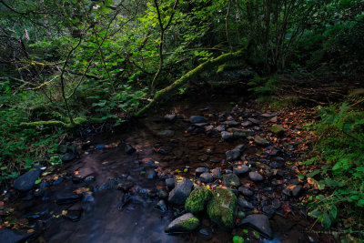 Late evening light on the River Dare.