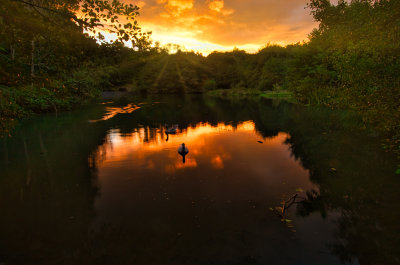 Sunset, Dare Valley Country Park.