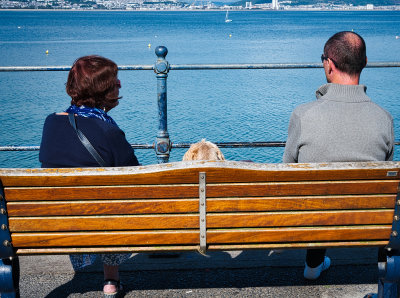 Three enjoy the view.