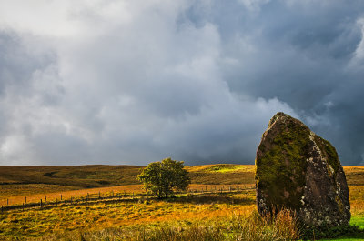 Maen Llia with just a Hawthorn tree for company.
