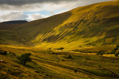 Stream lines on Yr Allt.