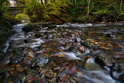 Dinas Rock bridge.
