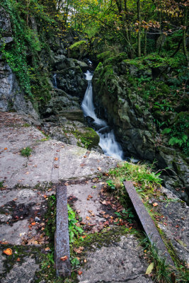 DSC_4462.jpg
