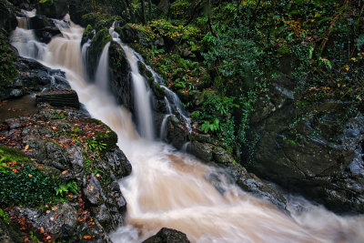 Sychryd Gorge.