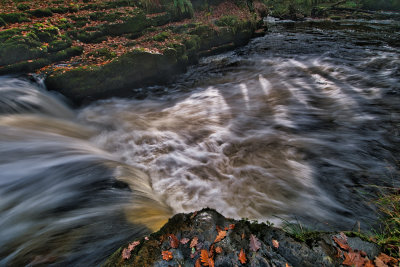 Catching the light, Pont Melin Fach.